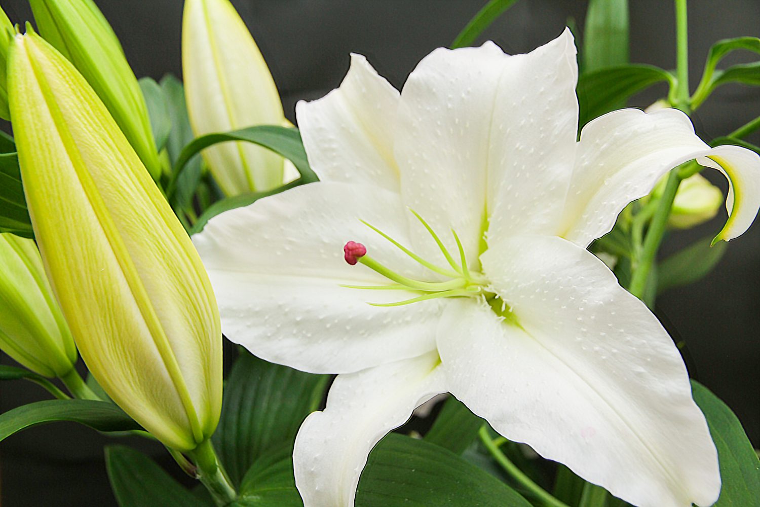 334f26da326d6c60bbea453d5b4b1f