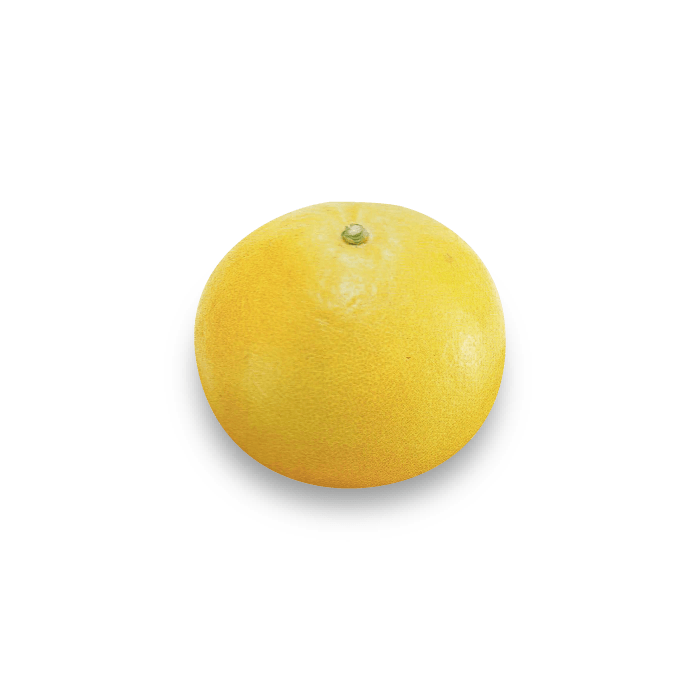 土佐文旦 水晶文旦 公式 Ja高知県 県産品の通販も