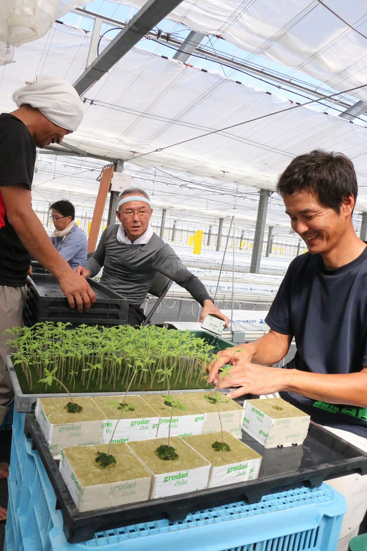 トマト軸に本格稼働 農業生産法人「コスモスアグリサポート」 - 【公式
