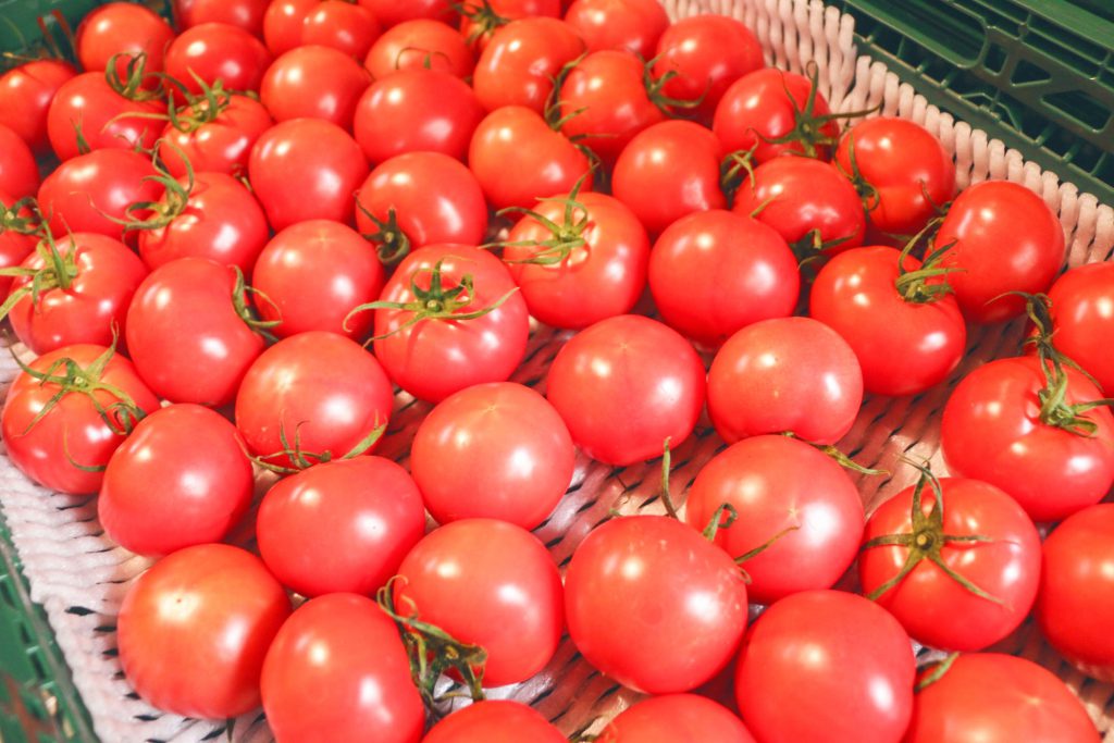 シュガートマト 公式 Ja高知県 県産品の通販も