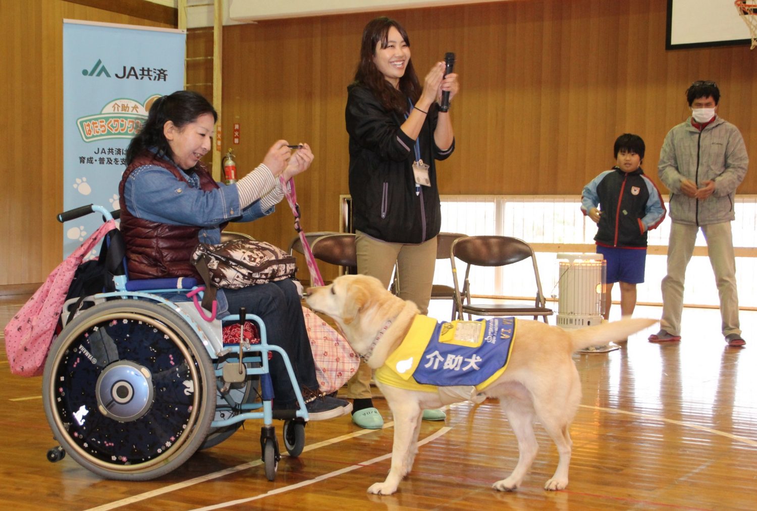 JA共済はたらくワンワンランドの写真(高知県高知市)