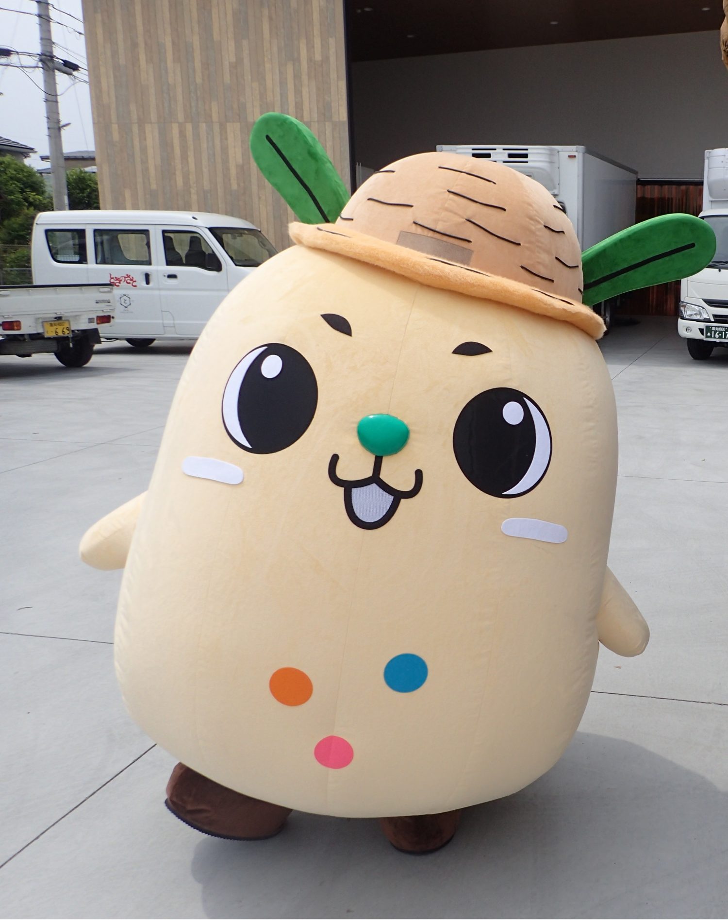 JA高知県キャラクター「コチット」着ぐるみお披露目 - 【公式】JA高知県