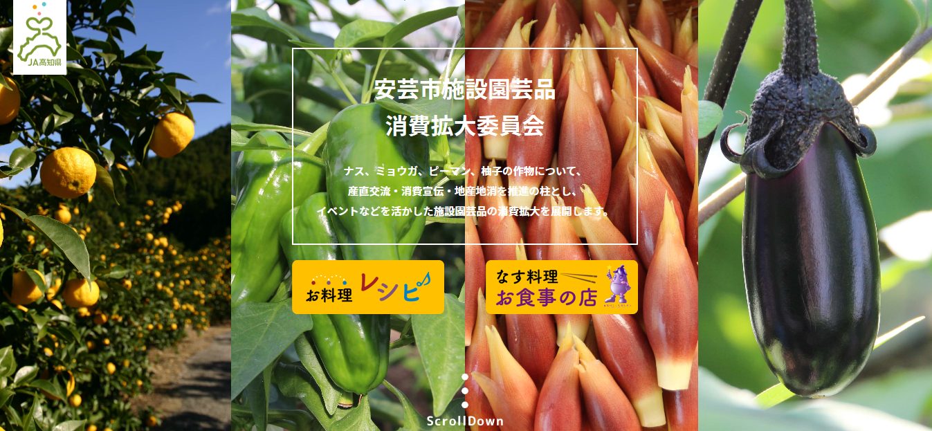 JA高知県の写真(高知県高知市)