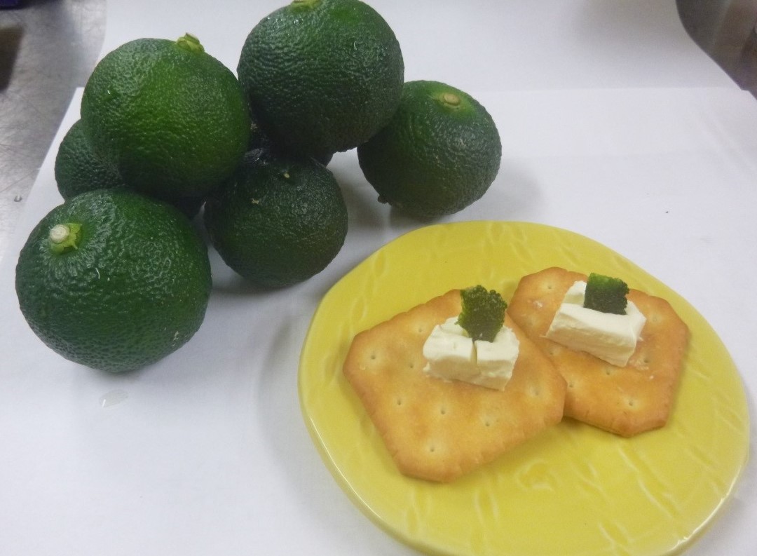 青ゆずクリームチーズ 公式 Ja高知県 県産品の通販も