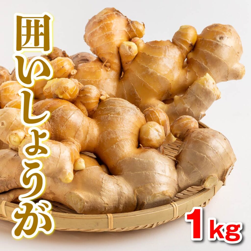 しょうが - 【公式】JA高知県 |県産品の通販も