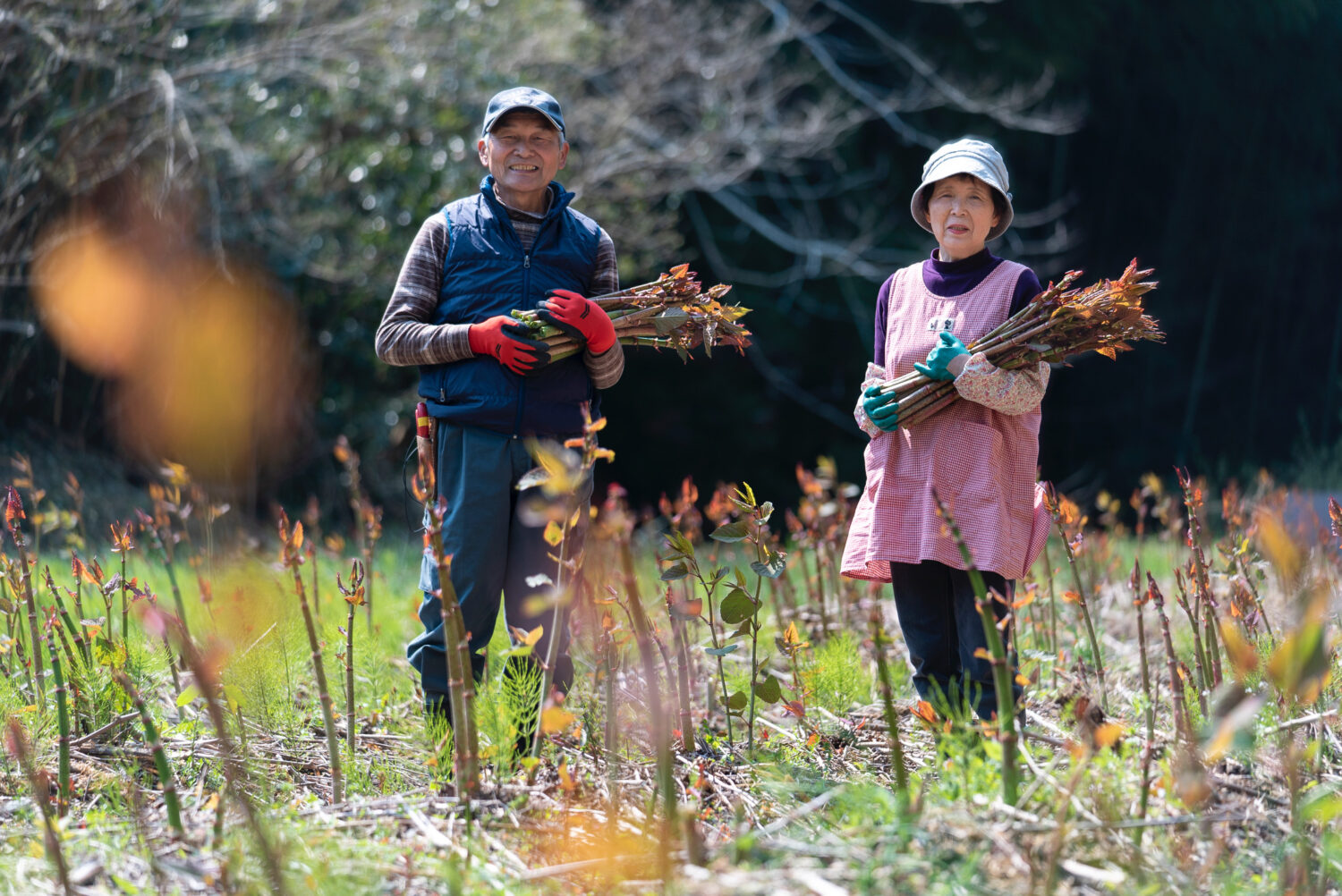 いのちを守る農場から 送料無料 いのちを守る農場から 送料無料 いのちを守る農場から 送料無料 いのちを