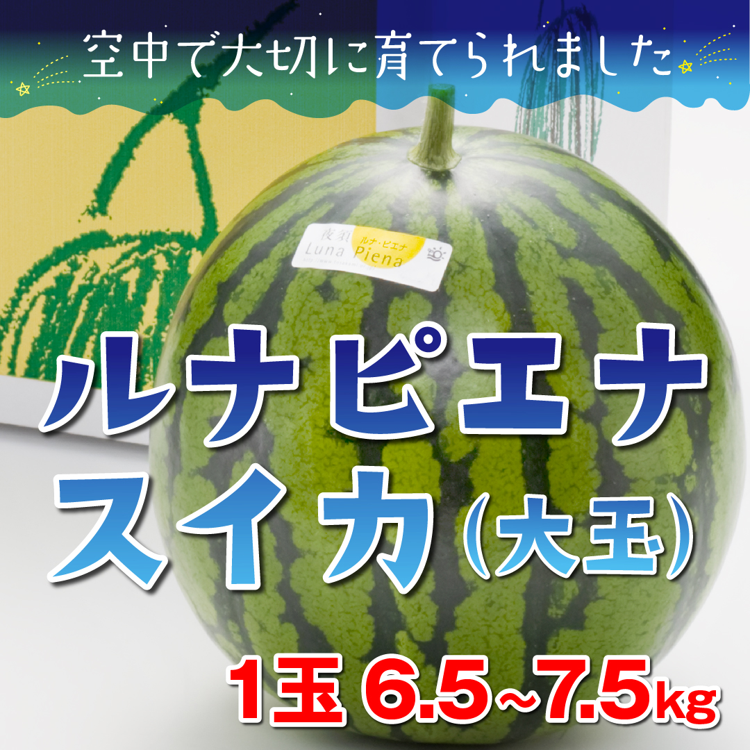 ネットショップ「とさごろ」でルナピエナスイカ（大玉）を販売開始