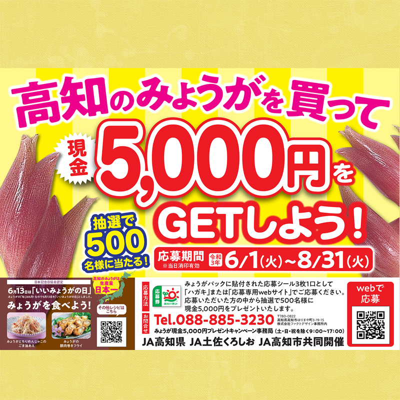 終了しました】高知県産のみょうがを買って現金5,000円をGETしよう