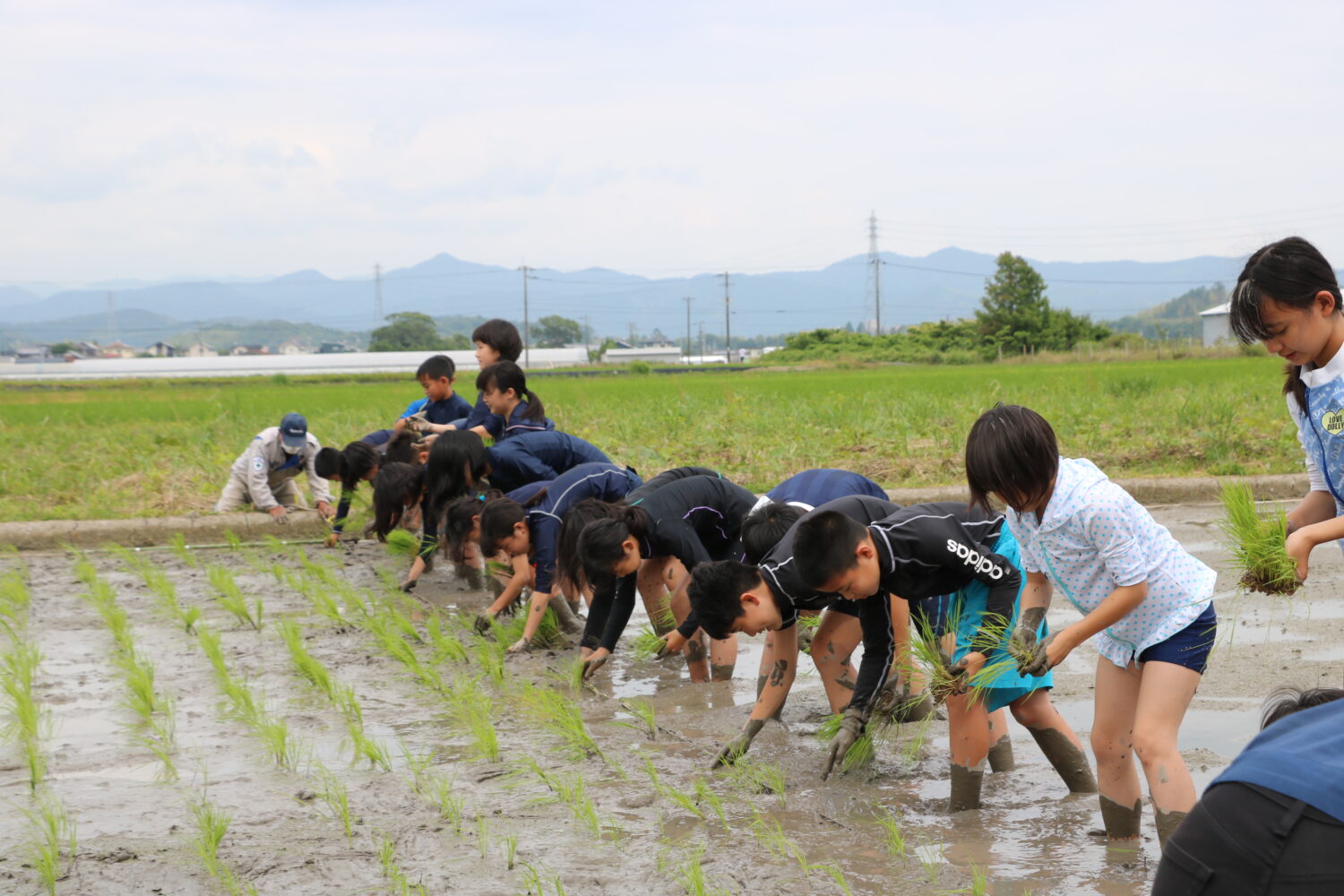 久礼田小学校田植えの写真(高知県高知市)