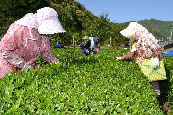 守ろう日本の「食」と「農」 - 【公式】JA高知県