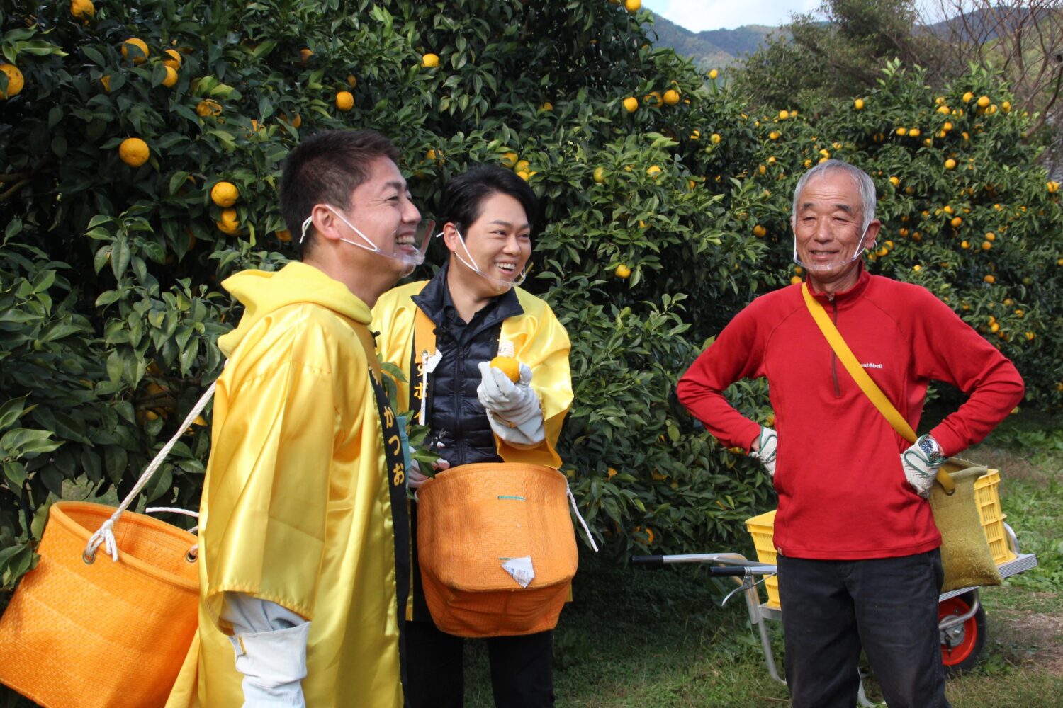 三山ひろしさんとゆず農家が番組撮影に挑戦！ - 【公式】JA高知県