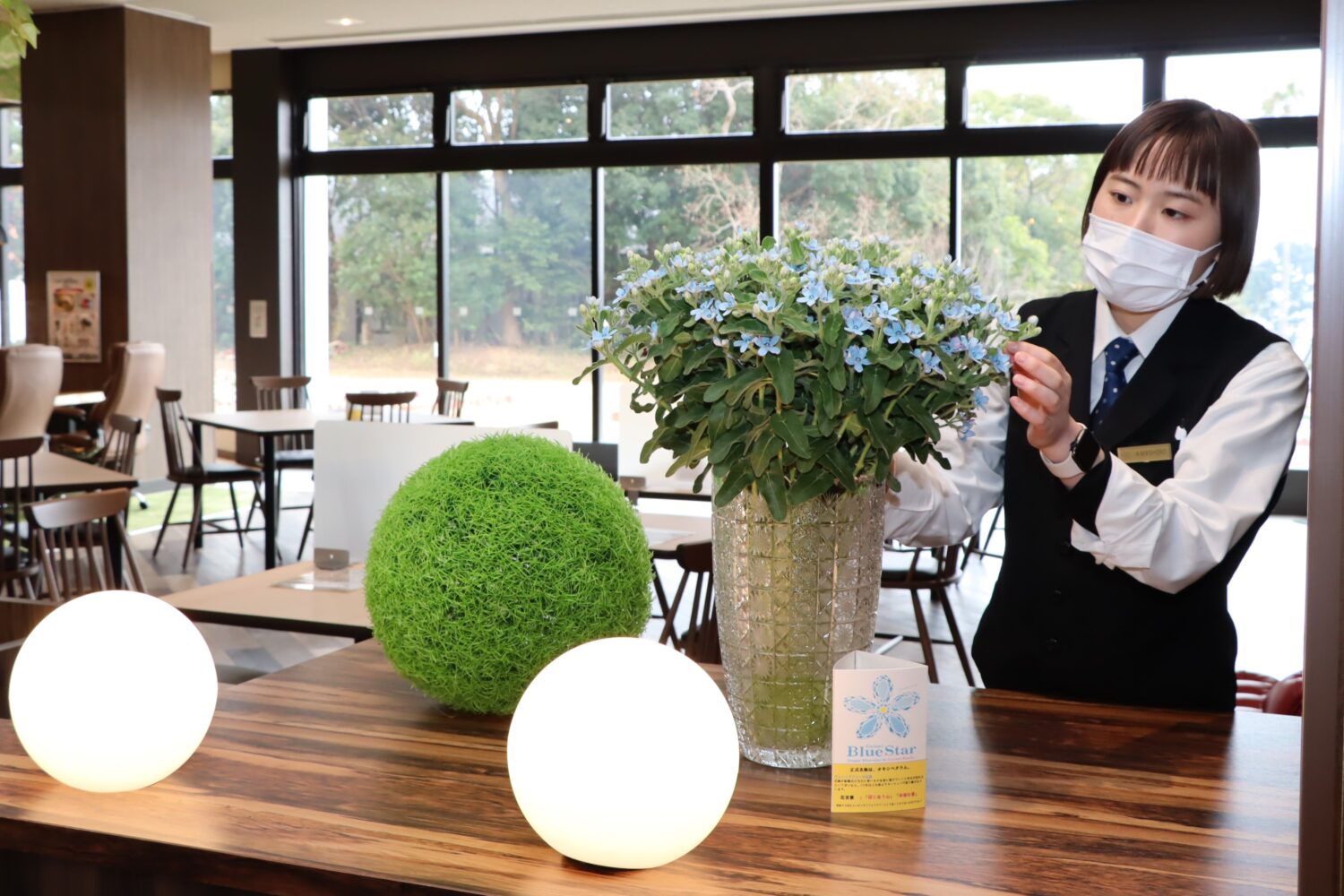 芸西ブルースター部会がホテルへ花提供 公式 Ja高知県