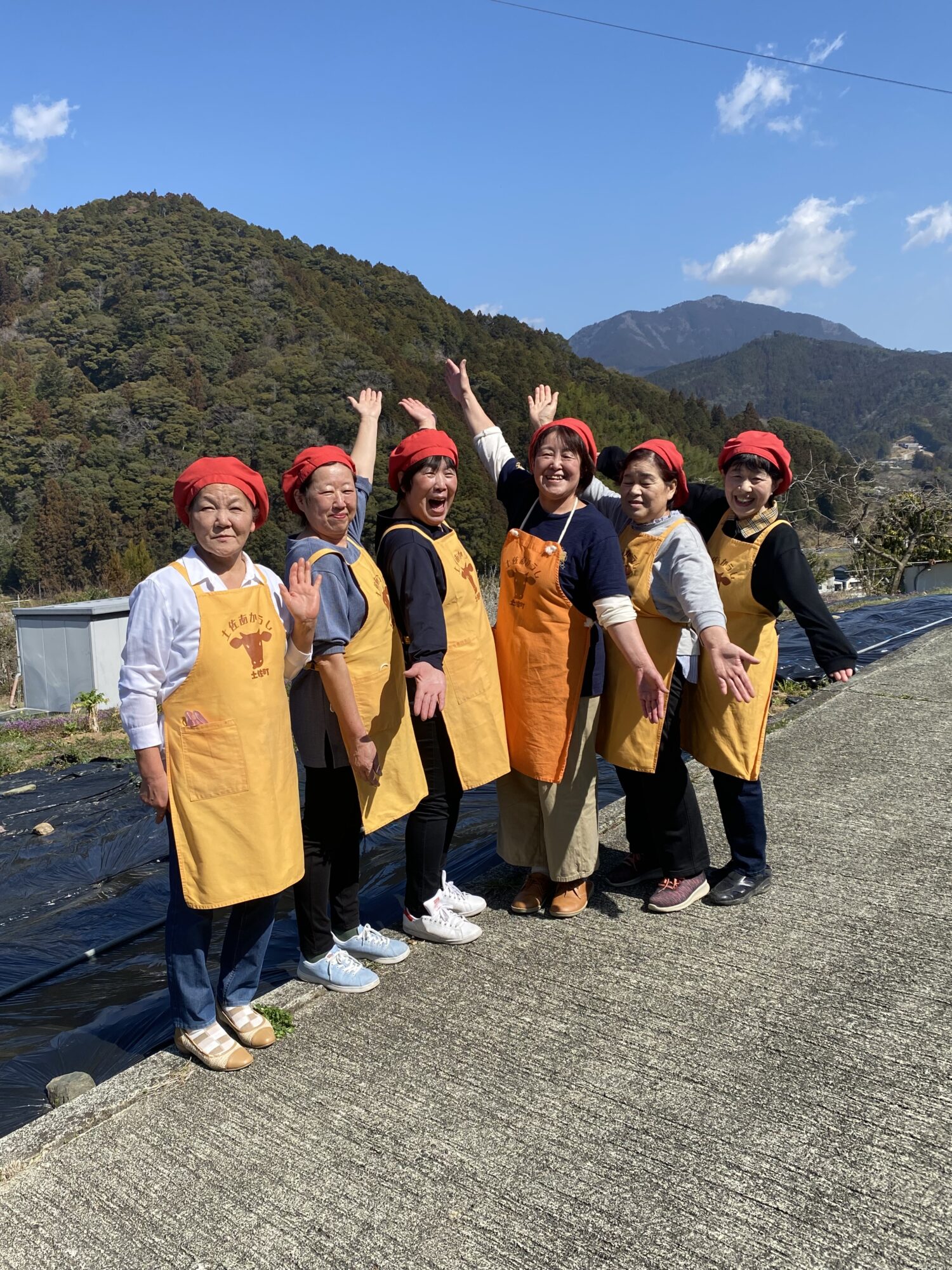 *地元食材を使った食事でおもてなし*の写真(高知県高知市)