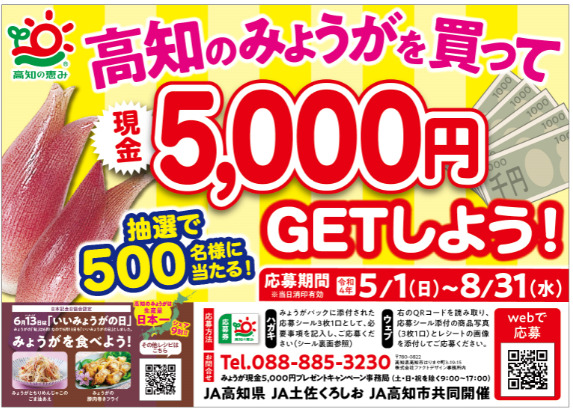 高知県産のみょうがを買って現金5,000円をGETしよう！ - 【公式】JA高知県