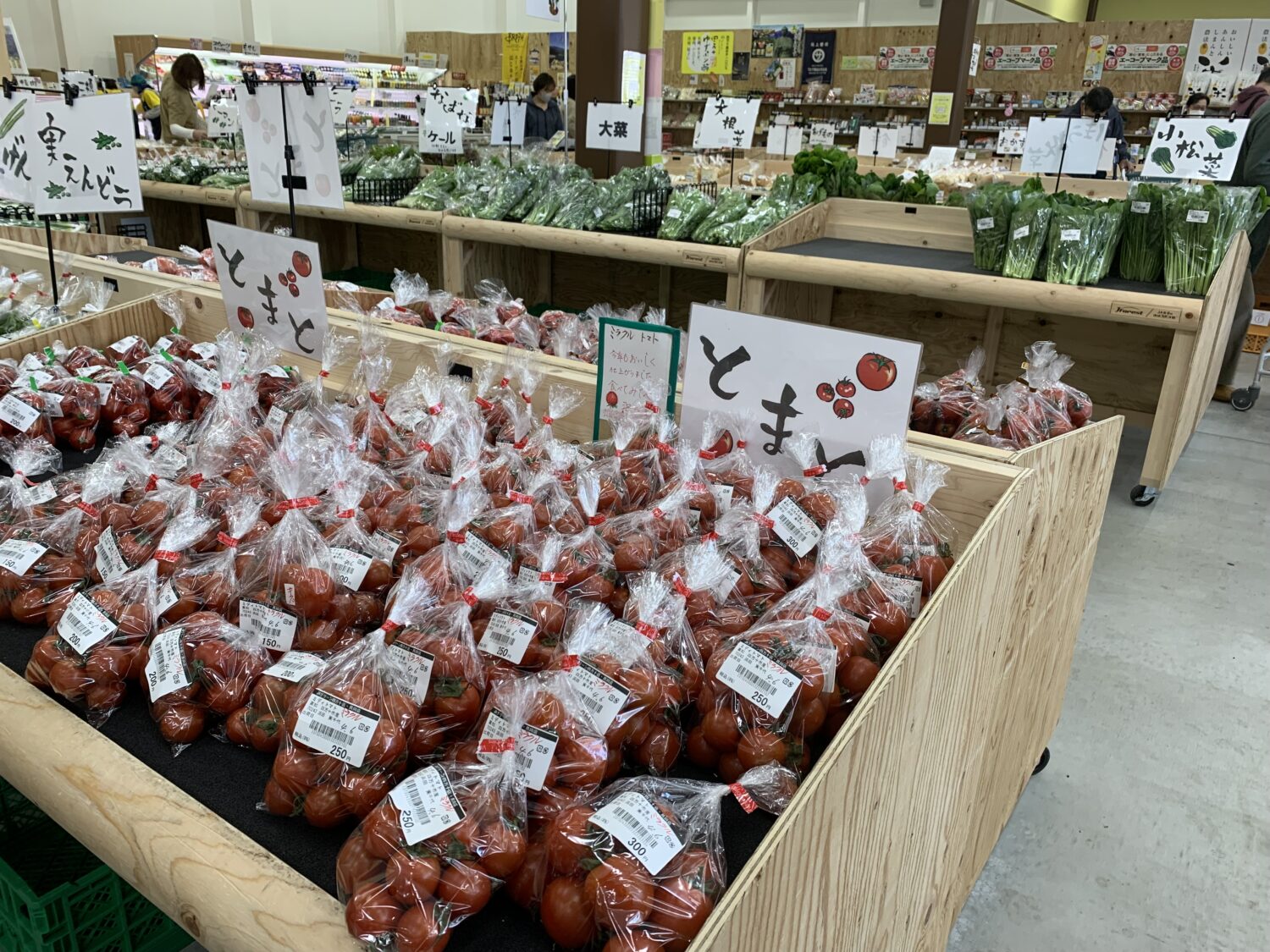 JAグリーン四万十店1周年創業祭🎊 - 【公式】JA高知県