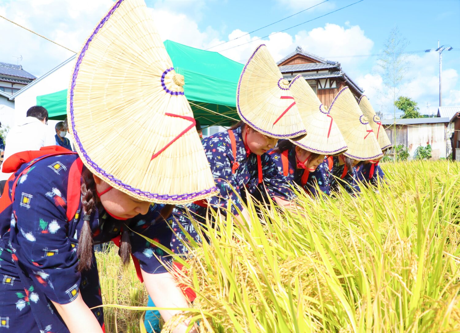 新嘗祭抜穂式 実りの秋に感謝を込めて🍂🍂 - 【公式】JA高知県