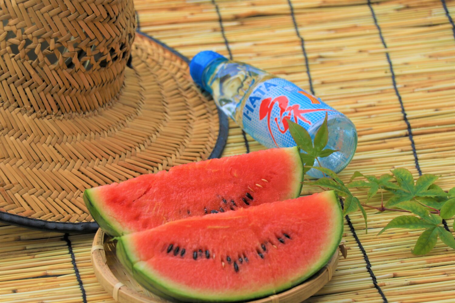 室戸のキラ坊スイカ収穫最盛期🍉✨の写真(高知県高知市)