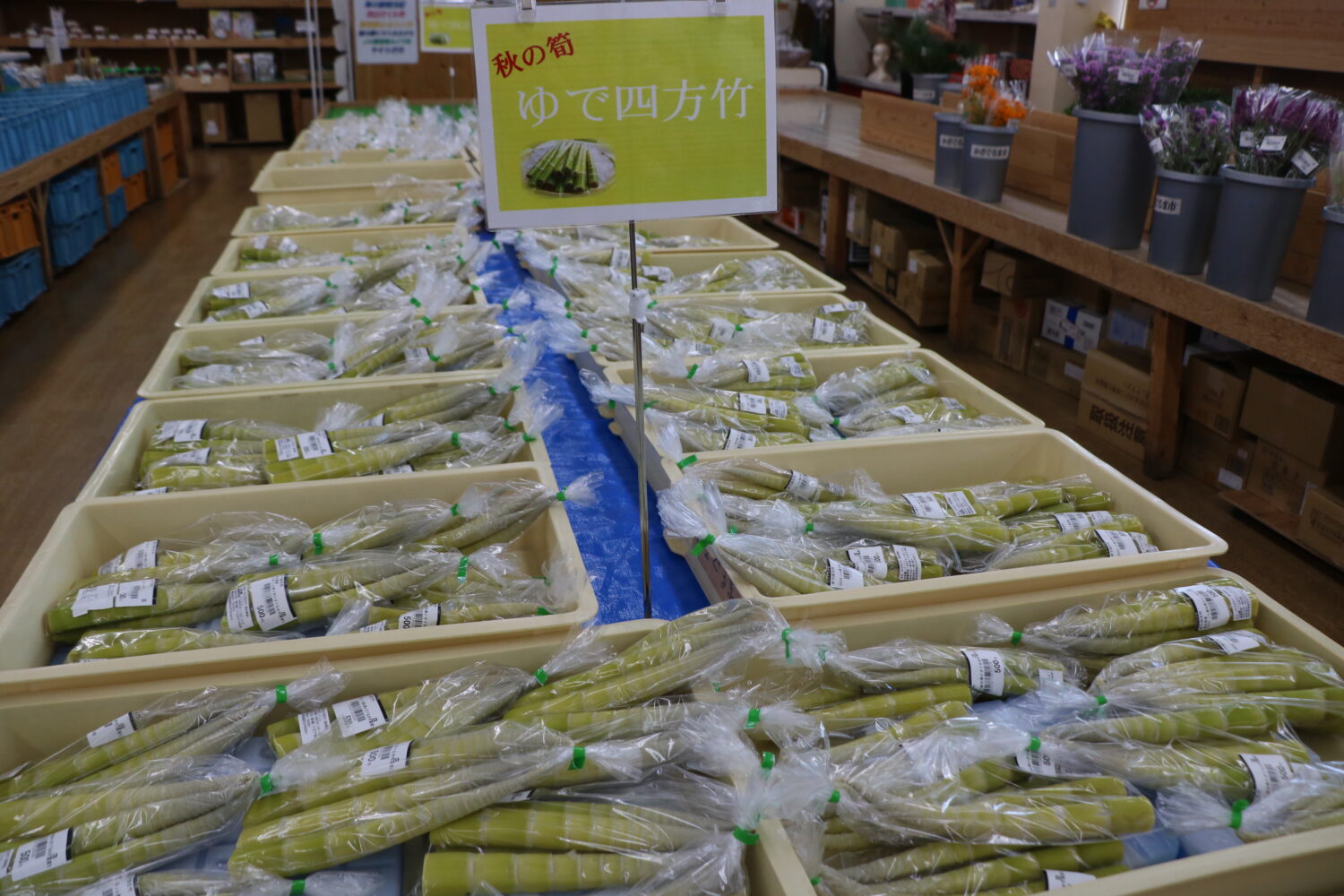 旬の四方竹PR～📯 - 【公式】JA高知県