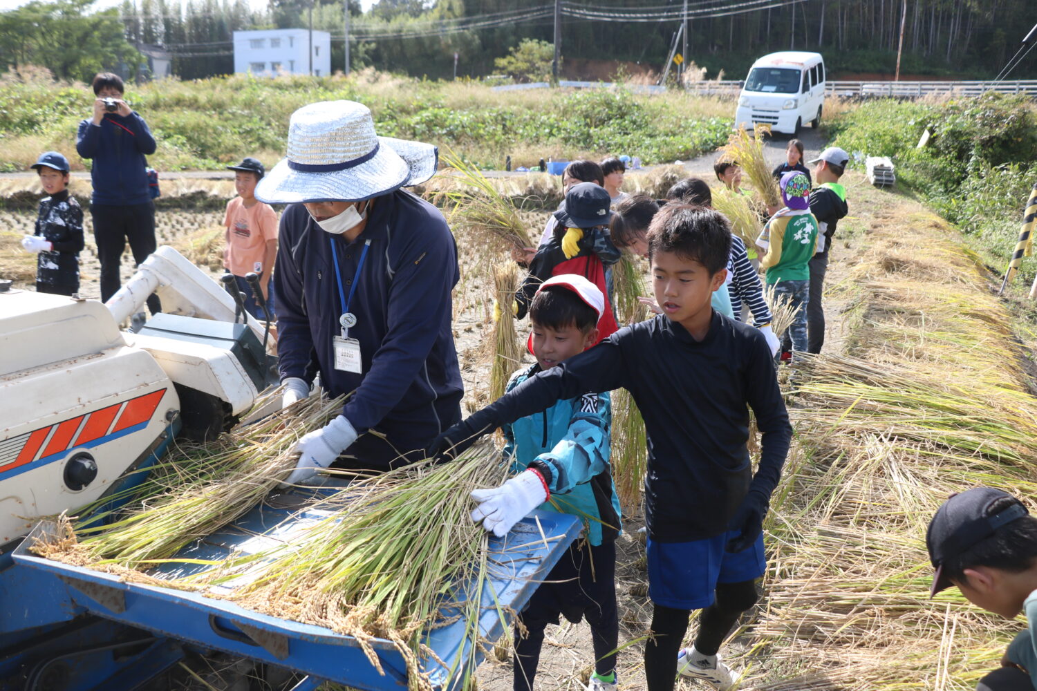 地元小学生が稲刈り体験🌾の写真(高知県高知市)