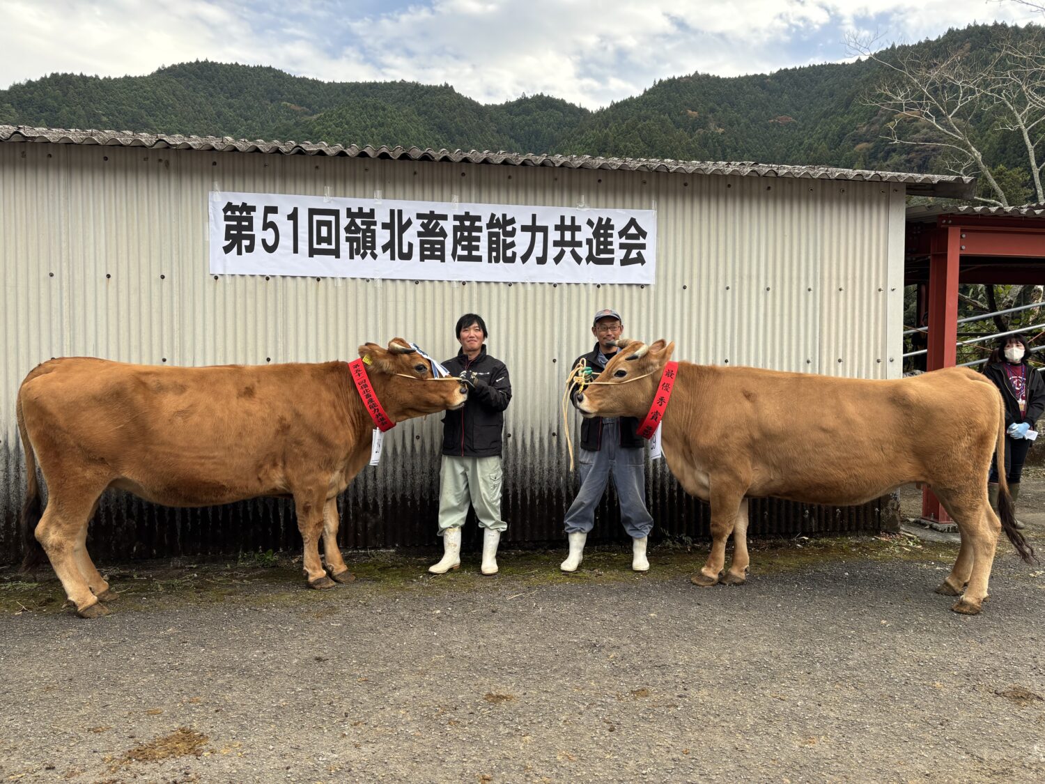 嶺北畜産能力共進会が開かれました🐂の写真(高知県高知市)