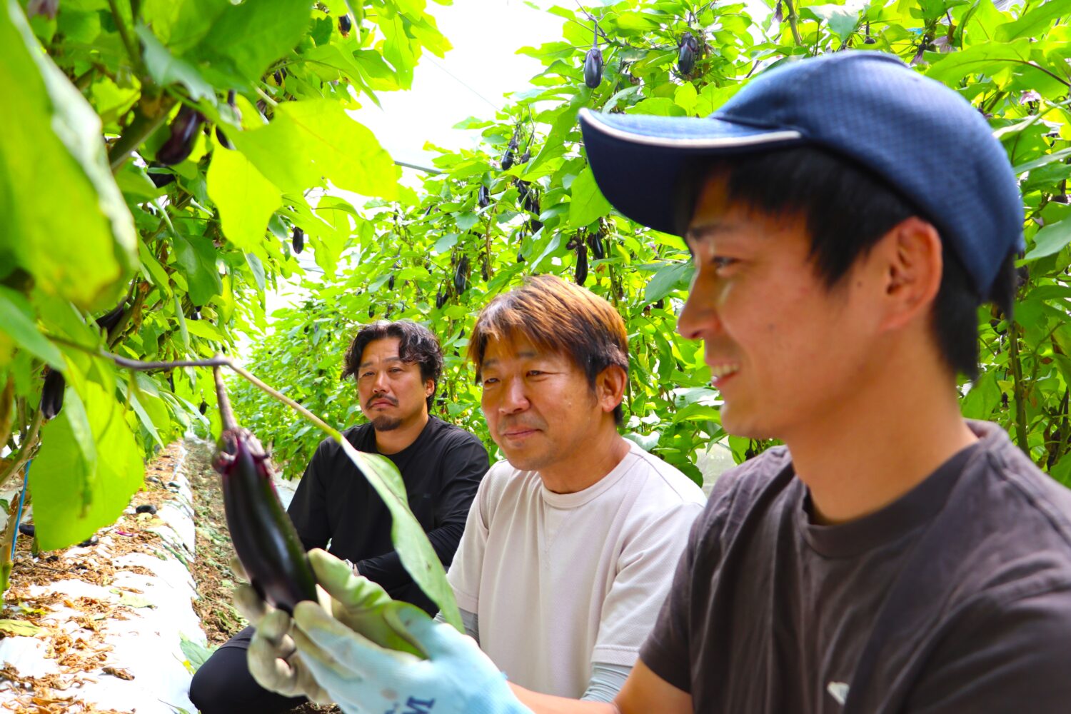 東部担い手研修拠点・第4期生入校式開く🍆の写真(高知県高知市)