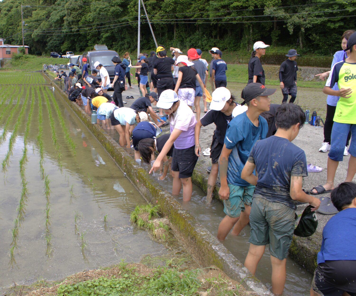 ワクワク田植え体験♪の写真(高知県高知市)