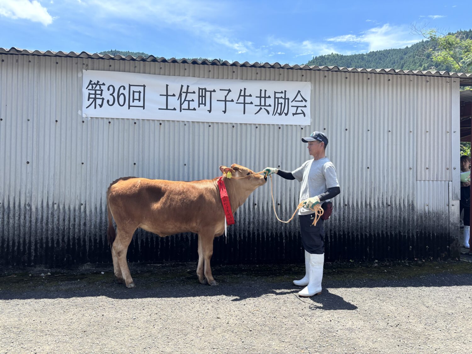 3年ぶり!土佐町子牛共励会🐂開催の写真(高知県高知市)